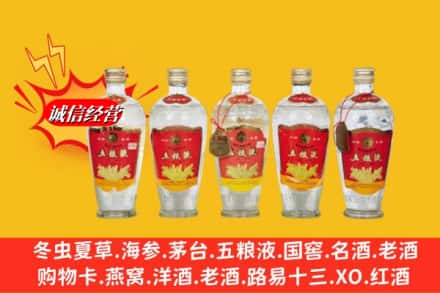南宁市兴宁回收老五粮液