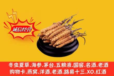南宁市兴宁名酒回收冬虫夏草.jpg